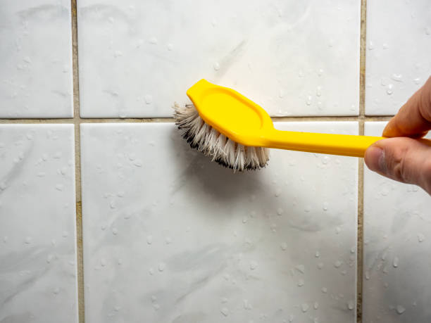 Trusted Sykesville, MD Mold Removal Experts