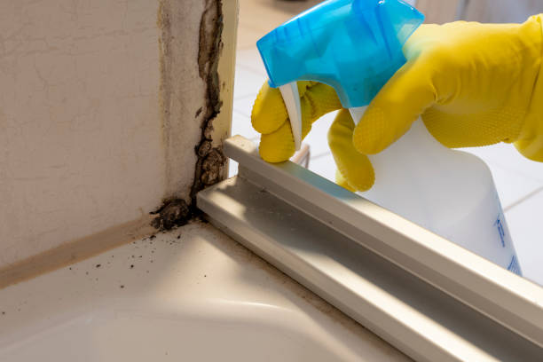 Mold Removal and Inspection in Sykesville, MD