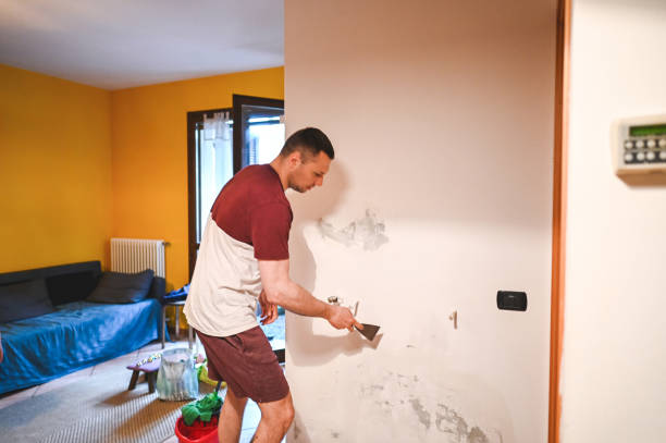 Best Mold Remediation  in Sykesville, MD