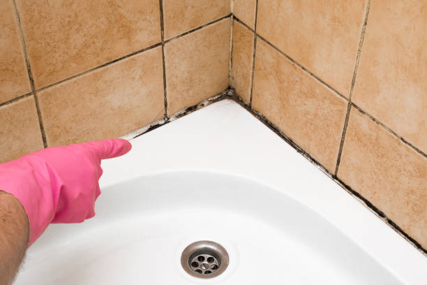 Best Residential Mold Removal  in Sykesville, MD